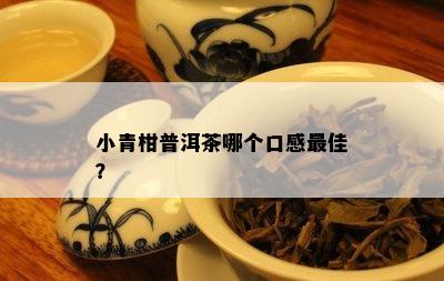 小青柑普洱茶哪个口感更佳？