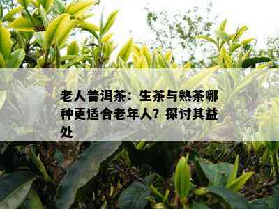 老人普洱茶：生茶与熟茶哪种更适合老年人？探讨其益处