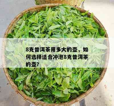 8克普洱茶用多大的壶，如何选择适合冲泡8克普洱茶的壶？