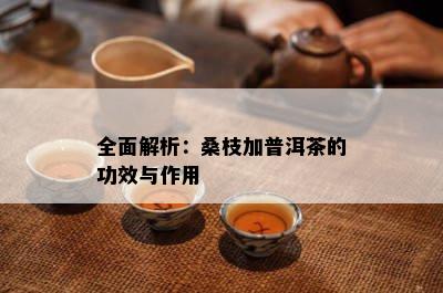 全面解析：桑枝加普洱茶的功效与作用