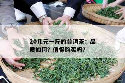 20几元一斤的普洱茶：品质如何？值得购买吗？