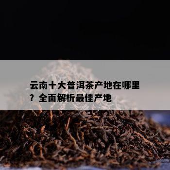 云南十大普洱茶产地在哪里？全面解析更佳产地