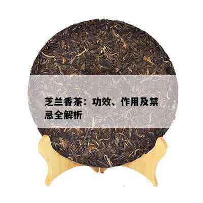 芝兰香茶：功效、作用及禁忌全解析