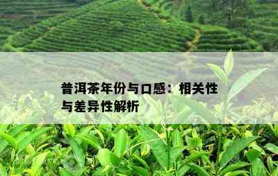 普洱茶年份与口感：相关性与差异性解析