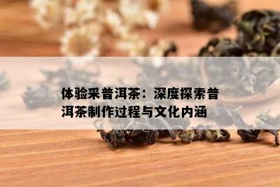 体验采普洱茶：深度探索普洱茶制作过程与文化内涵