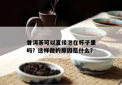 普洱茶可以直接泡在杯子里吗？这样做的起因是什么？