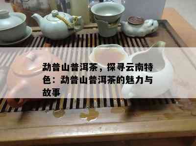 勐普山普洱茶，探寻云南特色：勐普山普洱茶的魅力与故事