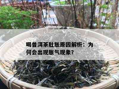 喝普洱茶肚胀原因解析：为何会出现胀气现象？