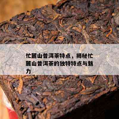 忙麓山普洱茶特点，揭秘忙麓山普洱茶的独特特点与魅力