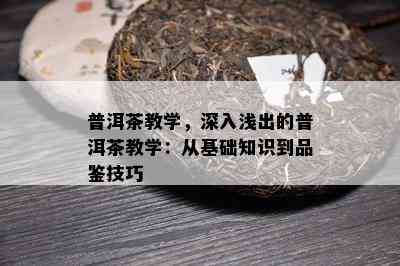 普洱茶教学，深入浅出的普洱茶教学：从基础知识到品鉴技巧