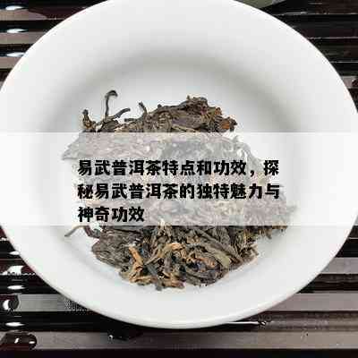 易武普洱茶特点和功效，探秘易武普洱茶的独特魅力与神奇功效