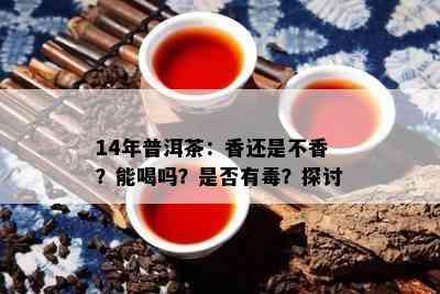 14年普洱茶：香还是不香？能喝吗？是不是有？探讨