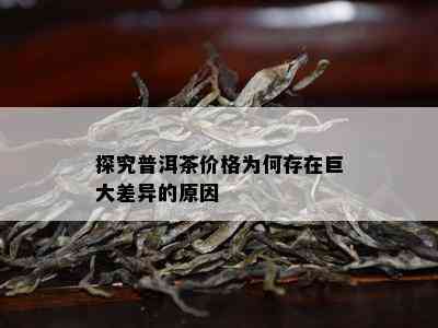 探究普洱茶价格为何存在巨大差异的原因