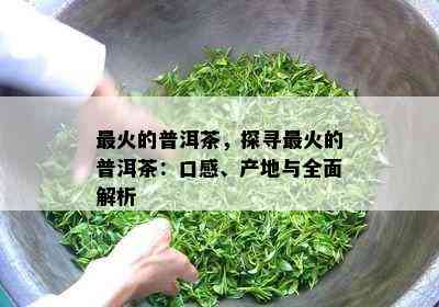 最火的普洱茶，探寻最火的普洱茶：口感、产地与全面解析