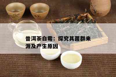 普洱茶白霉：探究其菌群来源及产生起因