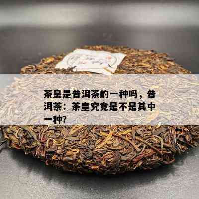 茶皇是普洱茶的一种吗，普洱茶：茶皇究竟是不是其中一种？