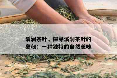 溪涧茶叶，探寻溪涧茶叶的奥秘：一种独特的自然美味