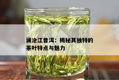 澜沧江普洱：揭秘其独特的茶叶特点与魅力