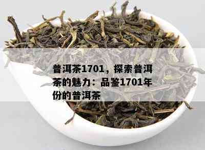 普洱茶1701，探索普洱茶的魅力：品鉴1701年份的普洱茶