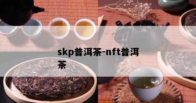 skp普洱茶-nft普洱茶