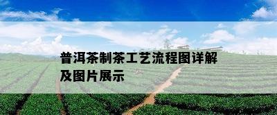 普洱茶制茶工艺流程图详解及图片展示