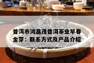 普洱市鸿昌茂普洱茶业早春金芽：联系方法及产品介绍