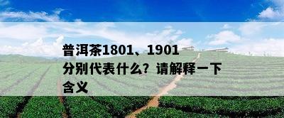 普洱茶1801、1901分别代表什么？请解释一下含义