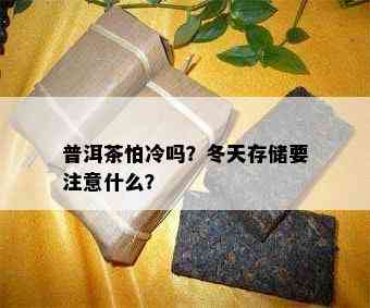 普洱茶怕冷吗？冬天存储要留意什么？