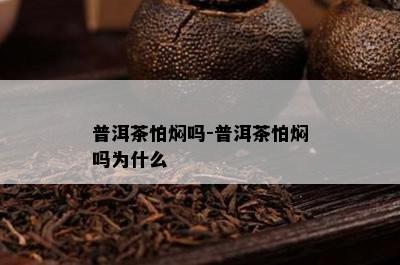 普洱茶怕焖吗-普洱茶怕焖吗为什么