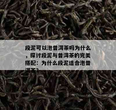 段泥可以泡普洱茶吗为什么，探讨段泥与普洱茶的完美搭配：为什么段泥适合泡普洱茶？