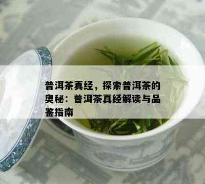 普洱茶真经，探索普洱茶的奥秘：普洱茶真经解读与品鉴指南