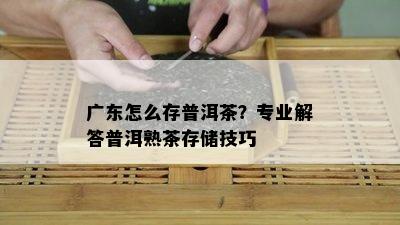 广东怎么存普洱茶？专业解答普洱熟茶存储技巧