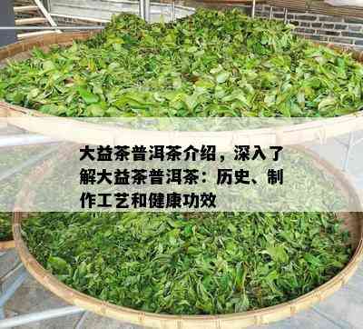 大益茶普洱茶介绍，深入了解大益茶普洱茶：历史、制作工艺和健康功效