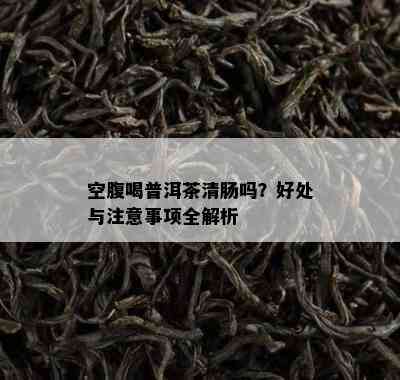 空腹喝普洱茶清肠吗？好处与注意事项全解析