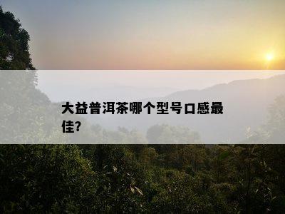 大益普洱茶哪个型号口感更佳？