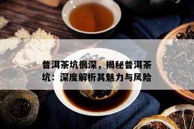 普洱茶坑很深，揭秘普洱茶坑：深度解析其魅力与风险