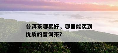 普洱茶哪买好，哪里能买到优质的普洱茶？