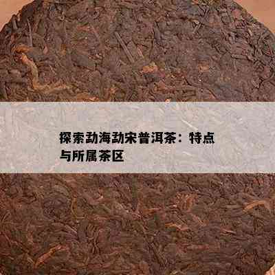 探索勐海勐宋普洱茶：特点与所属茶区