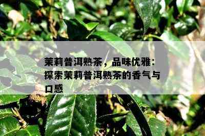 茉莉普洱熟茶，品味优雅：探索茉莉普洱熟茶的香气与口感