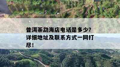 普洱茶勐海店电话是多少？详细地址及联系方式一网打尽！