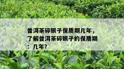 普洱茶碎银子保质期几年，熟悉普洱茶碎银子的保质期：几年？