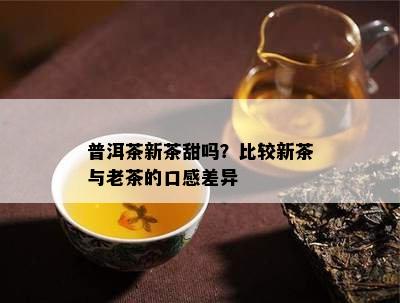 普洱茶新茶甜吗？比较新茶与老茶的口感差异