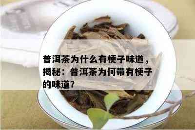 普洱茶为什么有梗子味道，揭秘：普洱茶为何带有梗子的味道？