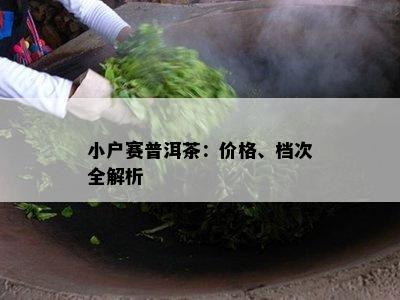 小户赛普洱茶：价格、档次全解析