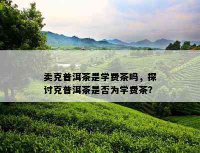 卖克普洱茶是学费茶吗，探讨克普洱茶是否为学费茶？