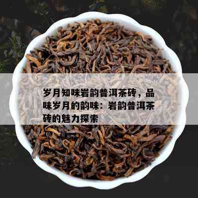 岁月知味岩韵普洱茶砖，品味岁月的韵味：岩韵普洱茶砖的魅力探索