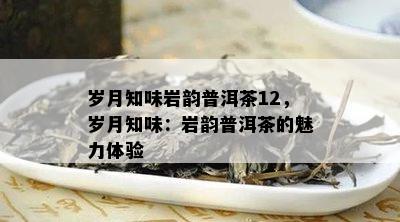 岁月知味岩韵普洱茶12，岁月知味：岩韵普洱茶的魅力体验