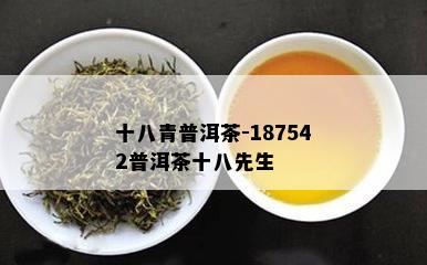 十八青普洱茶-187542普洱茶十八先生