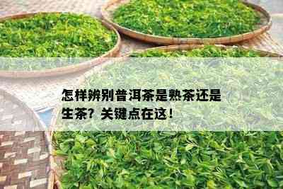 怎样辨别普洱茶是熟茶还是生茶？关键点在这！