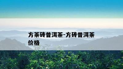 方茶砖普洱茶-方砖普洱茶价格